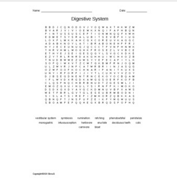 Digestive System Word Search for Vet. Science Students