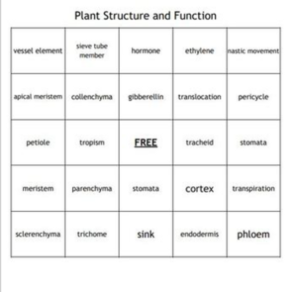 "Plant Structure and Function" Bingo set for a Biology II Course