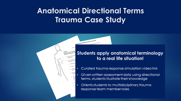 Anatomical Directional Terms BUNDLE - Word Search, Crossword Puzzle, Case Study