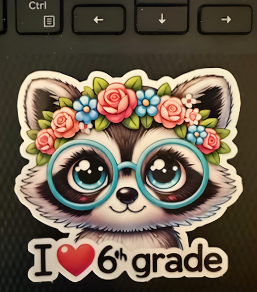 I ❤️ 6th Grade Raccoon Sticker | Waterproof Vinyl | Cute Animal 
