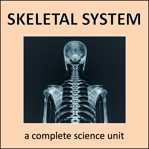 Skeletal System - a complete science unit