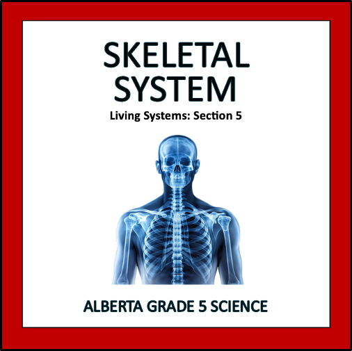 Skeletal System - Alberta Grade 5 Science