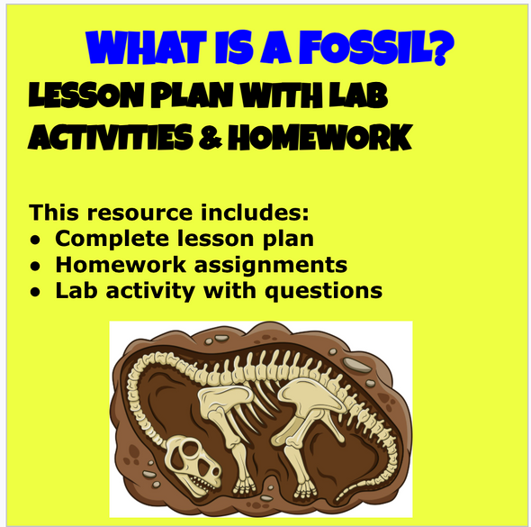 WHAT IS A FOSSIL? LESSON PLAN WITH LAB ACTIVITIES & HOMEWORK (4th-5th)