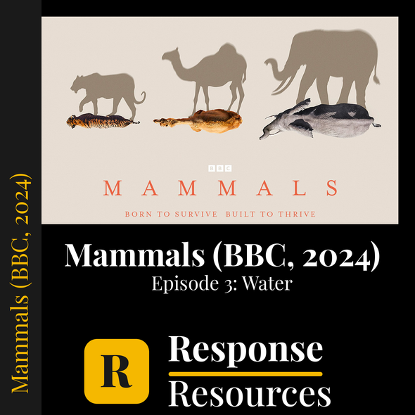 Mammals (BBC, 2024) - Episode 3: Water - Worksheet & Key