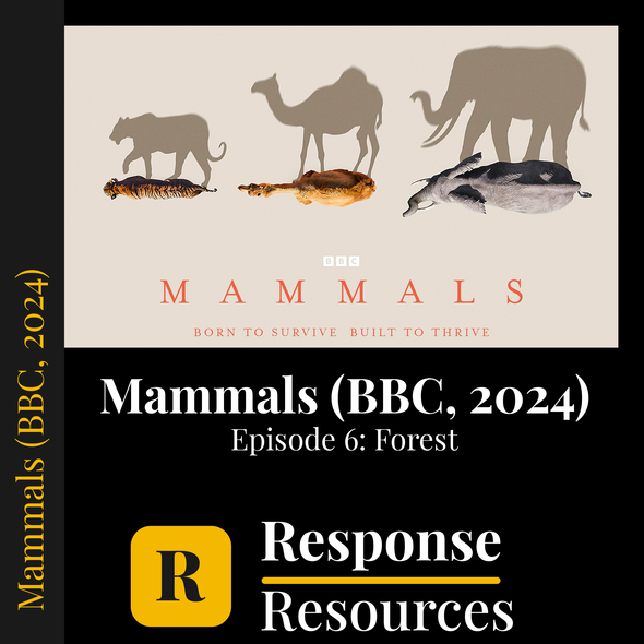 Mammals (BBC, 2024) - Episode 6: Forest - Worksheet & Key
