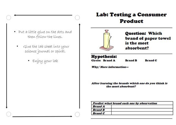 Paper Towel Science Lab