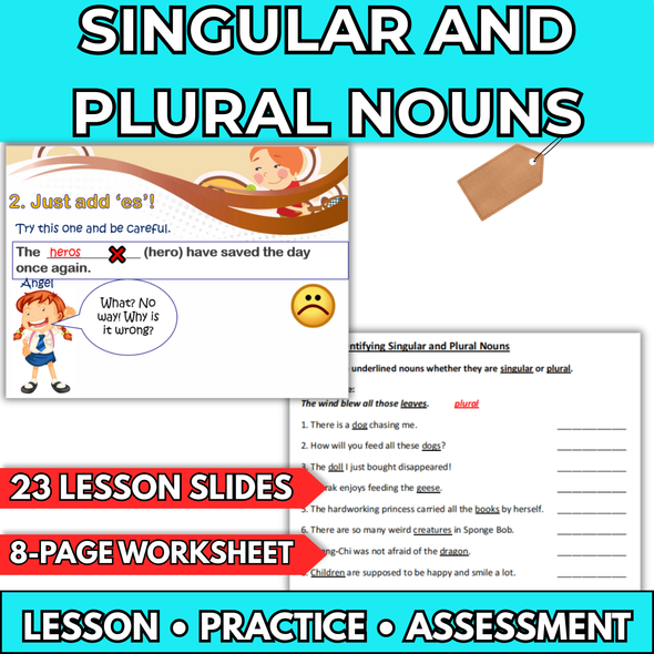 EFL / ESL Singular and Plural Nouns - Editable Lesson Slides & Worksheets