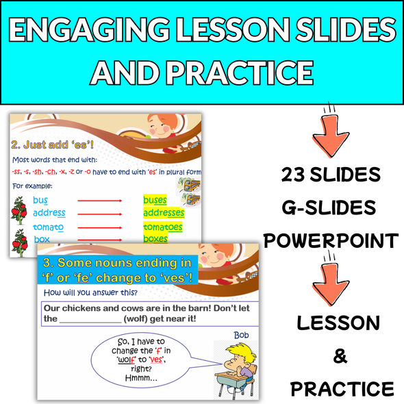 EFL / ESL Singular and Plural Nouns - Editable Lesson Slides & Worksheets