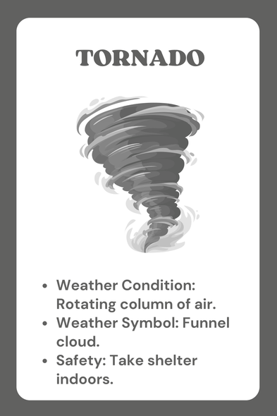 Weather Flash Cards | Weather & Seasons Vocabulary | Science & Describing Words
