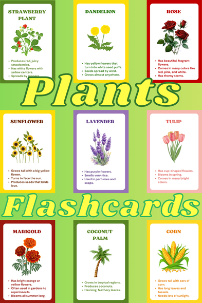 Plant Flashcards | Types of Plants & Flowers | Printable Science Flashcards
