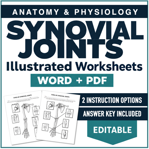 Synovial (Diarthrosis) Joints Worksheet- Illustrated