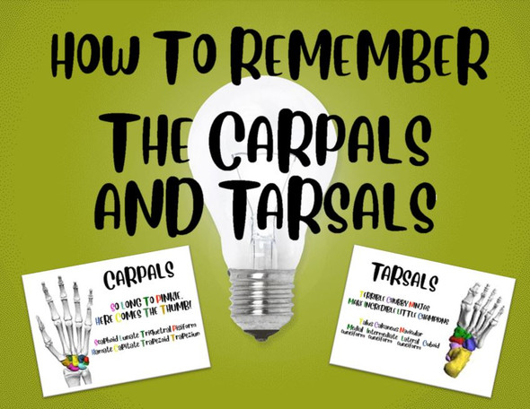 How To Remember the Carpals and Tarsals!