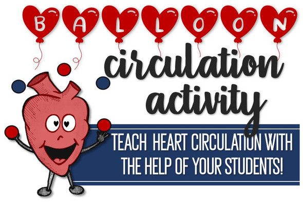 Balloon Circulation Activity- Teach Blood Flow Through the Heart!