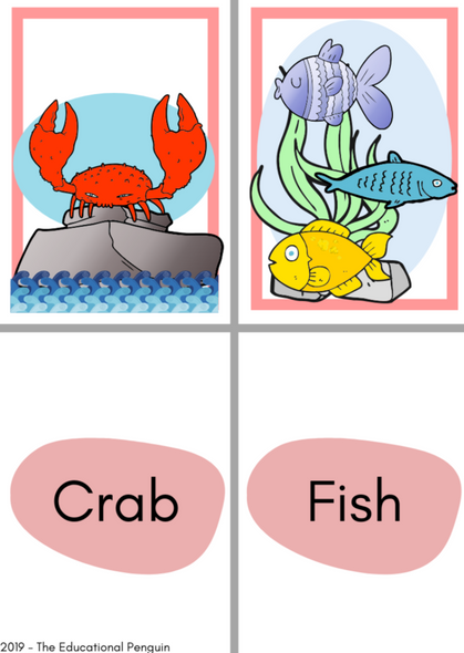 Flash Cards: Sea Animals