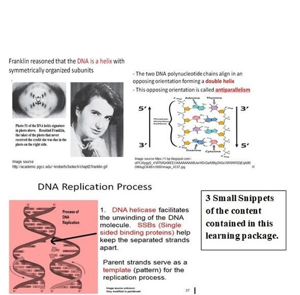 DNA Structure and Replication Learning Activities for AP Biology (Distance Learning)