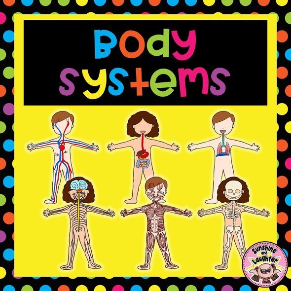 Body Systems