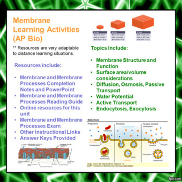 Membrane Learning Activities for AP Biology (Distance Learning)
