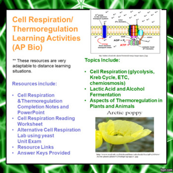 Cell Respiration/Thermoregulation Learning Activities for AP Biology (Distance Learning)