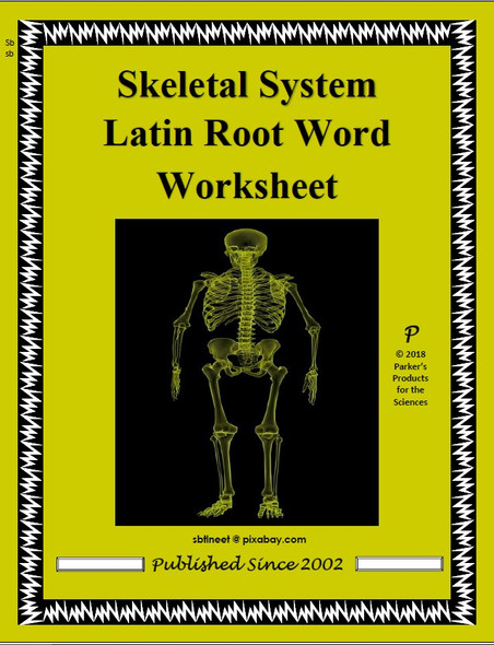 Skeletal System Latin Root Word Worksheet