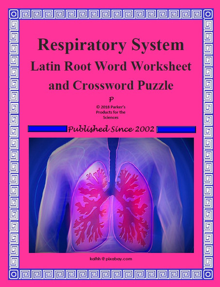 Respiratory System Latin Root Word Worksheet and Crossword Puzzle Set