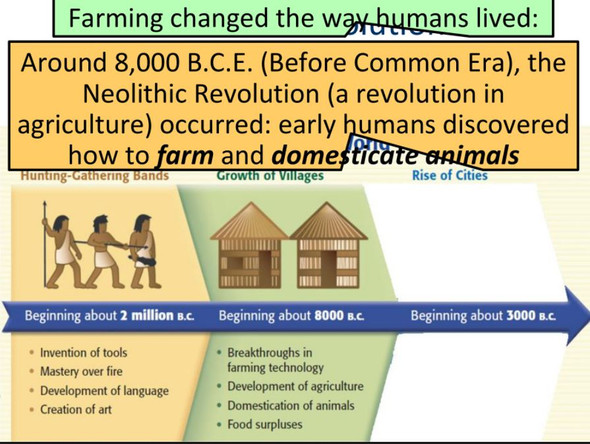 Neolithic Revolution & Rise Of Civilizations
