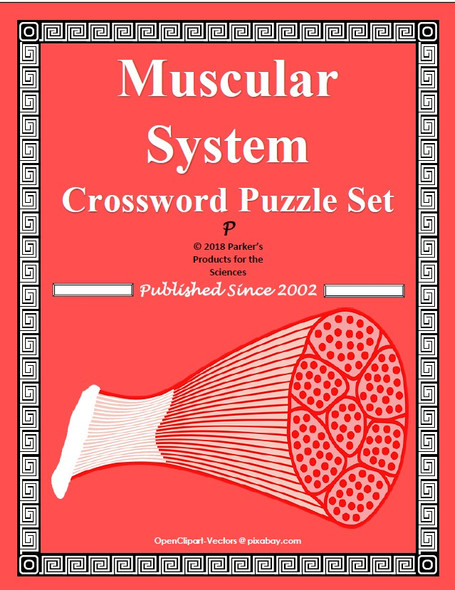 Muscular System Crossword Puzzle Set