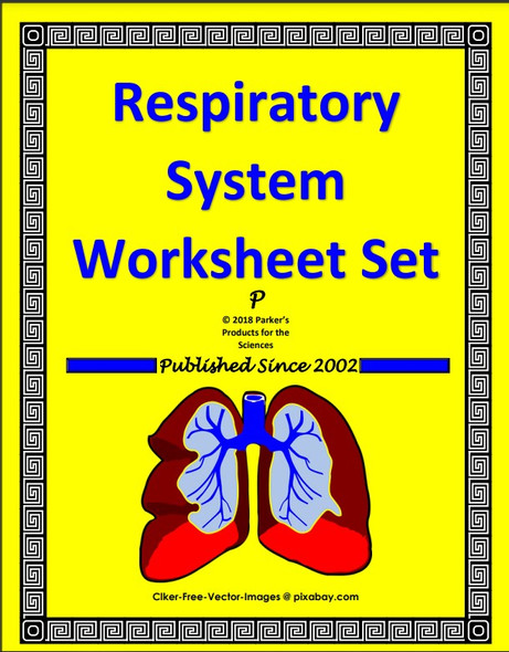Respiratory System Worksheet Set