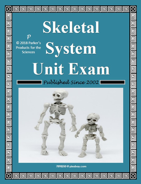 Skeletal System Exam 