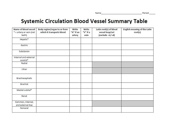 Systemic Blood Vessel Summary Table