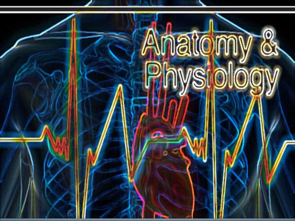 Intro to A & P for Health Science Pkg