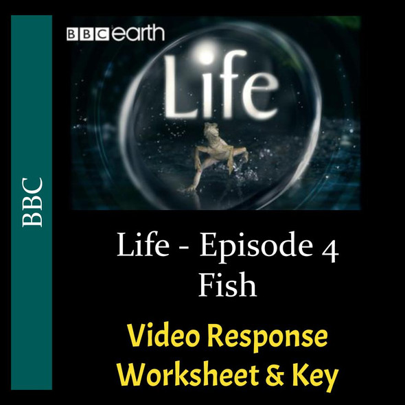 Life - Episode 04 - Fish - Video Response Worksheet & Key