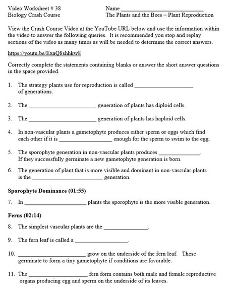 Crash Course Biology Video Worksheet 38: The Plants and the Bees – Plant Reproduction