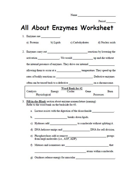 All About Enzymes Worksheet