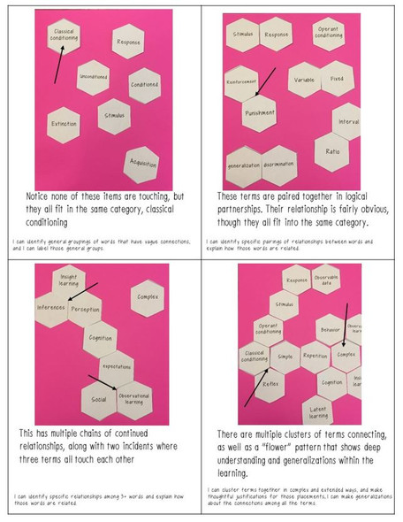 Psychology Year & Unit Review Hexagon Card Sort 