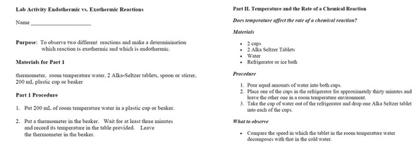 Reaction Rates and Endothermic/Exothermic Lab Activities