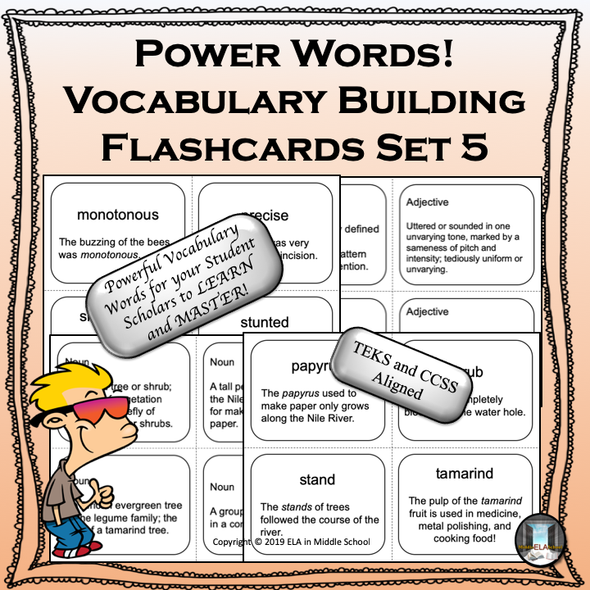 Power Words! Vocabulary Building Flashcards and Word Wall Set 5