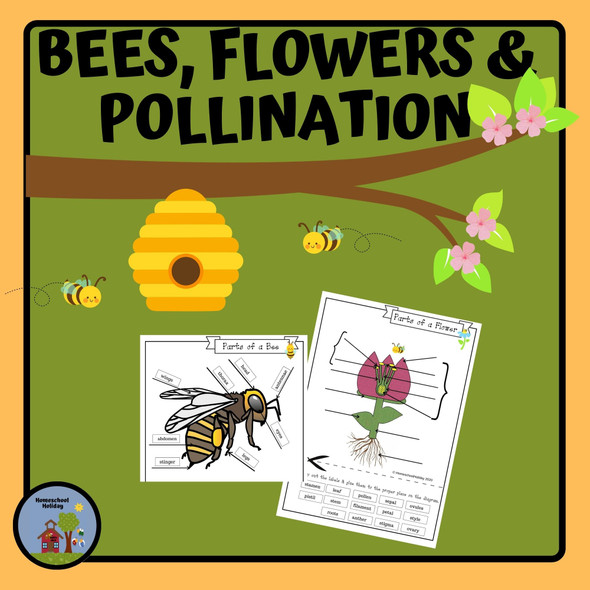 Bees, Flowers and Pollination - Digital and Paper resources