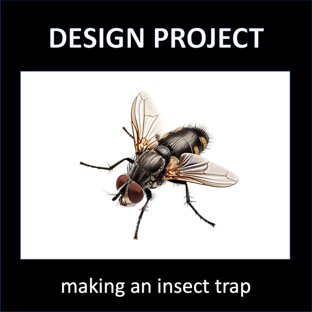 Interactions Within Ecosystems Interactions Within Ecosystems