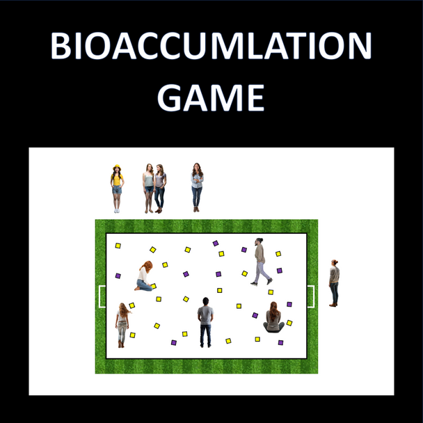 Interactions Within Ecosystems Interactions Within Ecosystems