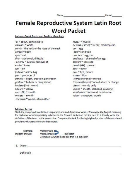 Female Reproductive System Latin Root Word Packet