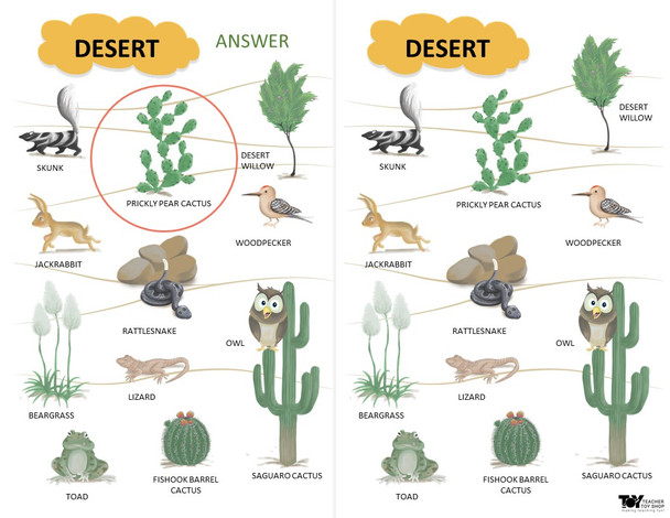 Ecosystems and Biomes Desert Game