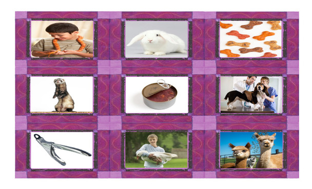 Pets and Pet Care Legal Size Photo Card Game