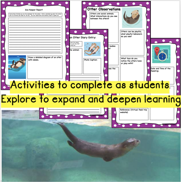 Google Version- Virtual Field Trip to the Otters