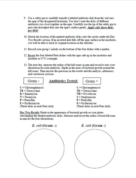 Antibiotic Sensitivity Disc Bacteria Lab