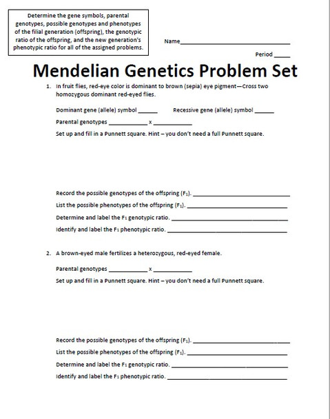 How to Set Up a Mendelian Genetics Problem Guide and Fundamental Problem Set