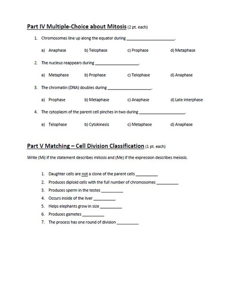 Mitosis and Meiosis Homework Quiz Bundle