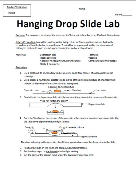 Bacterial Hanging Drop Slide Lab Manual