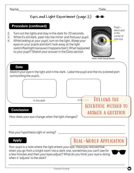 Light and Eyes Science Activity