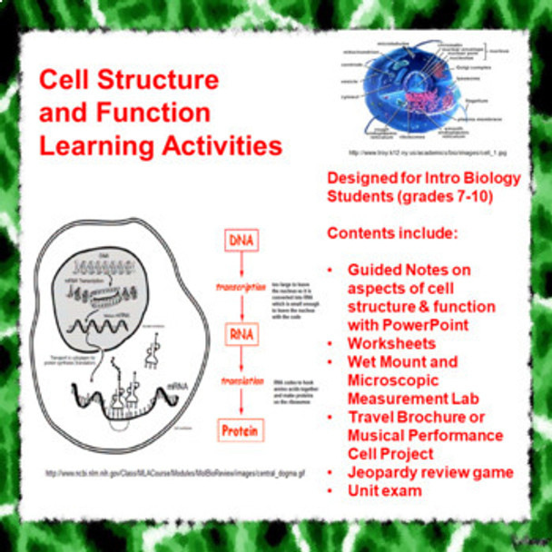 Cell Structure and Function Learning Activities (Distance Learning)