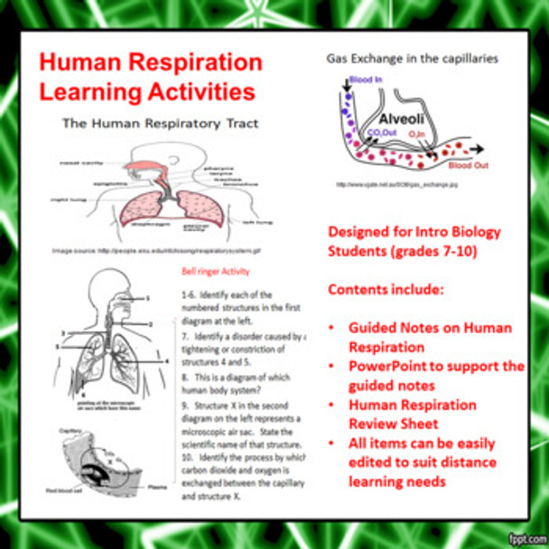 Human Respiration Learning Activities (Distance Learning)